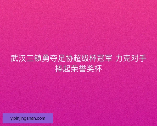 武汉三镇勇夺足协超级杯冠军 力克对手捧起荣誉奖杯